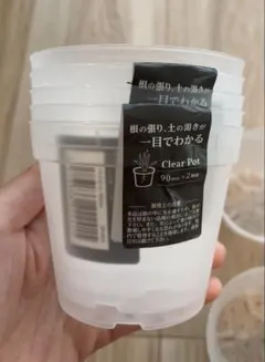 クリアポット 90mm 10個セット 透明プラ鉢 洋蘭 多肉 アガベ 観葉植物のサムネイル