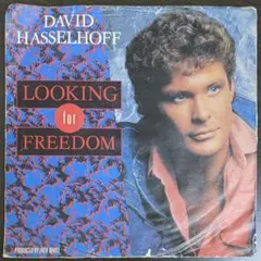David Hasselhoff Looking for Freedom