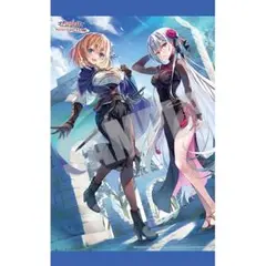 Switch ゴブリンスレイヤー 限定版 ソフマップ特典B2タペストリー