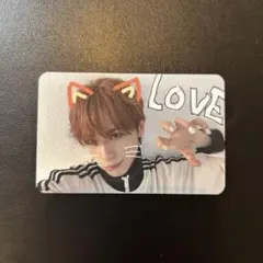 xlov タレントカード