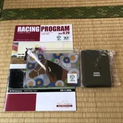 Item thumbnail for item ea18e227-9730-46d6-b8ff-eb8dc4493b82