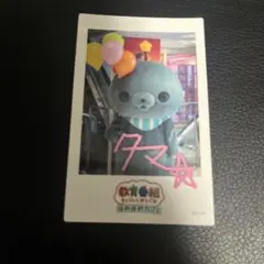 教育番組　タマ　ほめほめカフェ