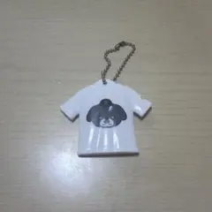 甲斐拓也 カイシーズー キーホルダー