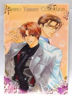 2025年最新】やまねあやの カードの人気アイテム - メルカリ