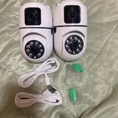 Item thumbnail for item ae29b194-1eb3-415c-9c76-33f48215bc50