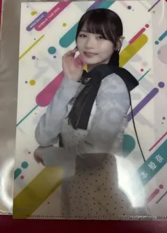【新品未使用】 乃木坂46真夏の全国ツアー2025 クリアファイル 岡本姫奈