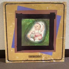 希少 SEBADOH SOUL AND FIRE アナログレコード 希少 SEBADOH SOUL AND FIRE アナログレコード - メルカリ
