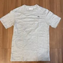 LACOSTE ポケット付きTシャツ グレー