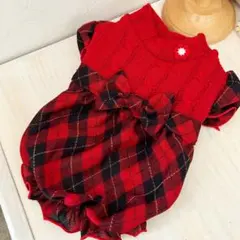 ハンドメイド♡犬服 バルーンワンピース