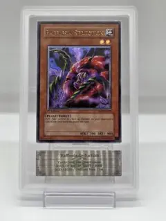 2026年最新】旧アジア レリーフ ars10の人気アイテム - メルカリ