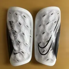 Item thumbnail for item 5739232d-a27a-4972-aff0-fe1c6e80c5bb