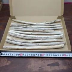 流木 工作素材