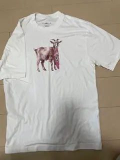 Jordan ナイキTシャツ ホワイト Sのサムネイル