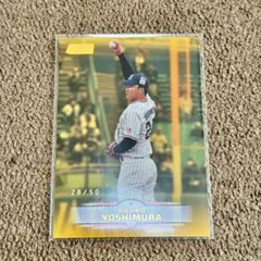 Item thumbnail for item 9c840bc6-5386-4bc5-ad17-880a9b5ae863