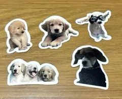 Item thumbnail for item 20c02cdf-7055-4007-a139-dc4bb988cf33