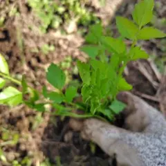 ういこ様 リクエスト 3点 まとめ商品