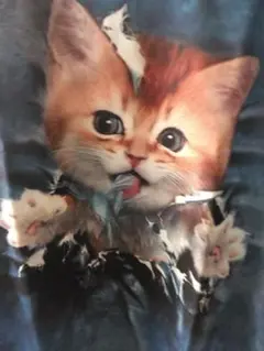 ★新品未使用★猫プリントオーバーシャツTシャツ 長袖トップス