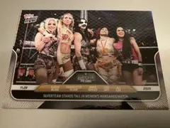 Item thumbnail for item 02ea2860-03fc-4681-a3c5-dd84cc975df7