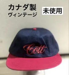 Item thumbnail for item 9a662a42-55dd-48f2-81a0-cb5c291ec578