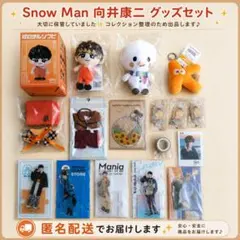 Snow Man 向井康二 すのチルソフビ他 まとめ売り たまゆきキーホルダーのサムネイル
