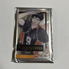 ハイキュー ファンパーク 箔押し クリアカード コレクション 12 枚セット