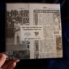 split 7inch