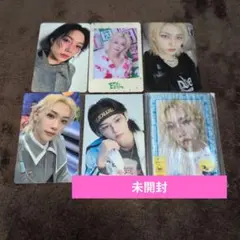 公式　StrayKids　フィリックス　サウナ　フォトカードスリーブ　オンライン