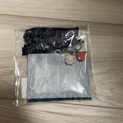 【新品未開封】ファミリア ネームホルダー 青系ファミリアチェック