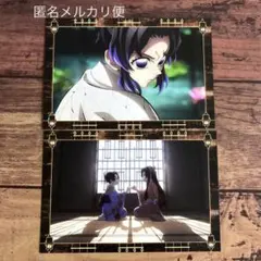 鬼滅の刃 半券ポストカード 胡蝶しのぶ 胡蝶姉妹