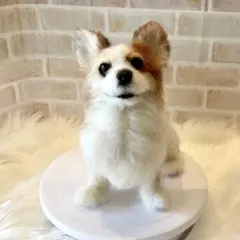 HIMA様専用　羊毛フェルト　オーダー　チワワ✖️パピヨン