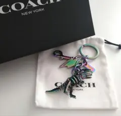 2025年最新】coach レキシー チャームの人気アイテム - メルカリ