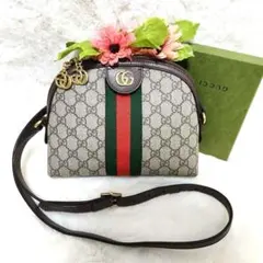 ✨極美品✨グッチ　ショルダーバッグ　オフディア　シェリーライン　マーモント