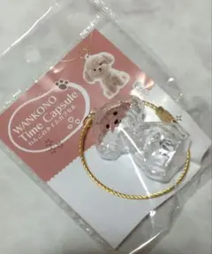 わんこのタイムカプセル　むぎ　③
