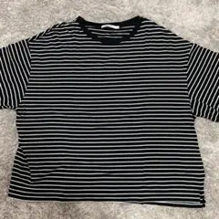 COLONY ストライプTシャツ Lサイズのサムネイル