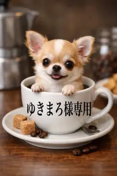 ゆきまろ様専用