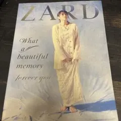 2026年最新】zard what a beautiful moment tour パンフレットの人気