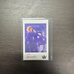 てるとくん フォトカ