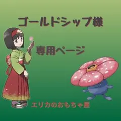 ゴールドシップ様専用ページ