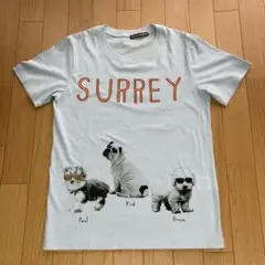 フラボア　Tシャツ　　FRAPBOISのサムネイル