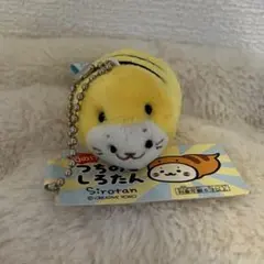 つちのこしろたん キーホルダー 店舗限定品のサムネイル