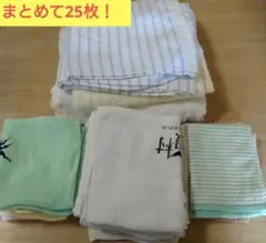 Item thumbnail for item 580bc957-e623-46d5-97be-37b7cdc71e88