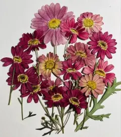 Item thumbnail for item 0c031aca-9720-45cf-992d-951cdc41782c