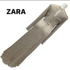 ZARA 総プリーツ　光沢生地　マキシ丈ドレス　USAサイズSのサムネイル