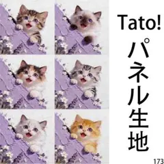 Tato !(=^・^=)パネル生地 ラベンダー色の夢と青い瞳の子猫 D173
