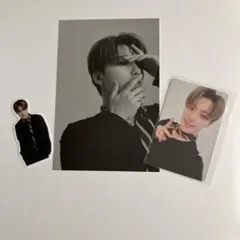 SEVENTEEN 2021 シーグリ　ディノ