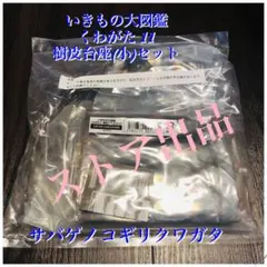 kurichan様 リクエスト 2点 まとめ商品