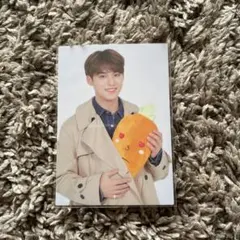 HARU SEVENTEEN 2019 JAPAN TOUR