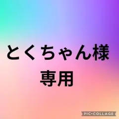 とくちゃん様 専用