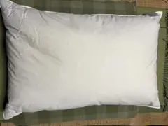 Item thumbnail for item 9db80126-1a7a-4650-acaf-aa24aeea7fe0