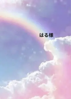 はる様 リクエスト 2点 まとめ商品